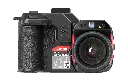 13.webp
